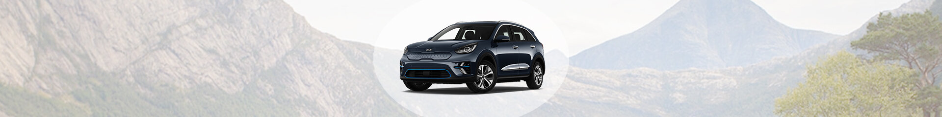 Niro