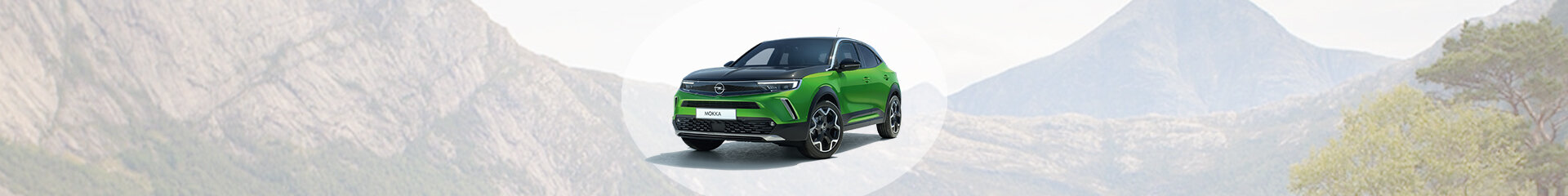 Mokka