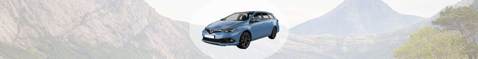 Auris