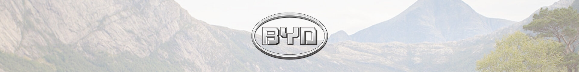 BYD