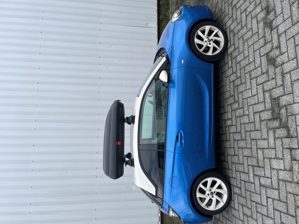 Dakkoffer Artplast 320 Liter + dakdragers Ford Focus 5 deurs hatchback 1998 t/m 2005