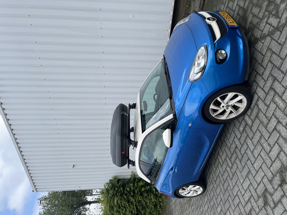 Dakkoffer Artplast 320 Liter + dakdragers Ford Focus 5 deurs hatchback 2011 t/m 2018