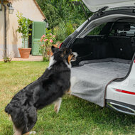 Hondenmat voor achterklep - Met bumperbescherming