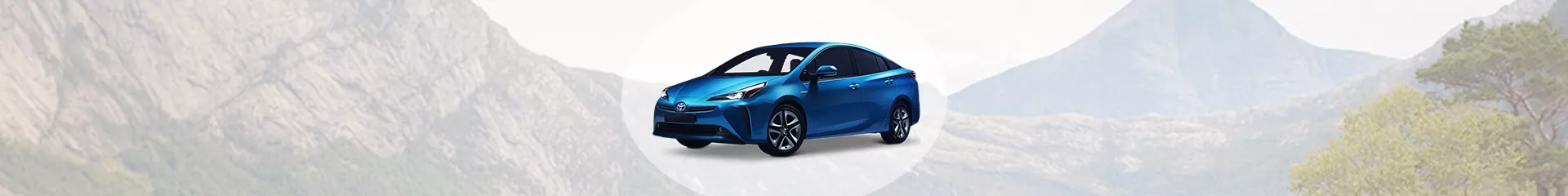 Magistraat Nieuwjaar Zweet Voordelig Toyota Prius dakdragers kopen