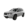 Terrano